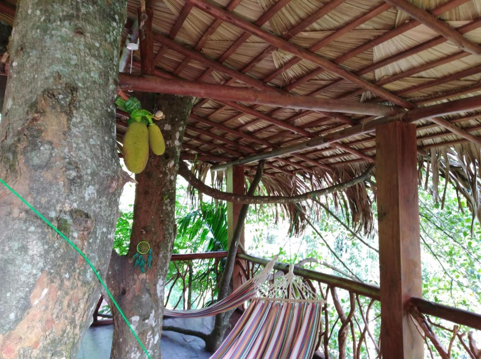 Hotel Ella Treehouse Exterior foto