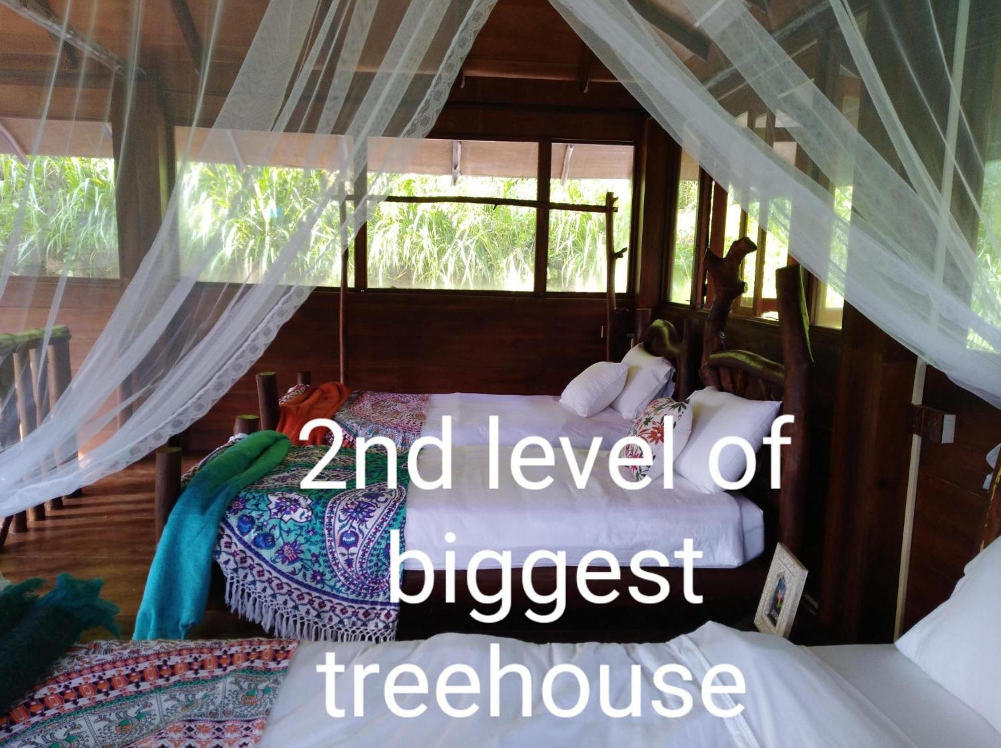 Hotel Ella Treehouse Exterior foto