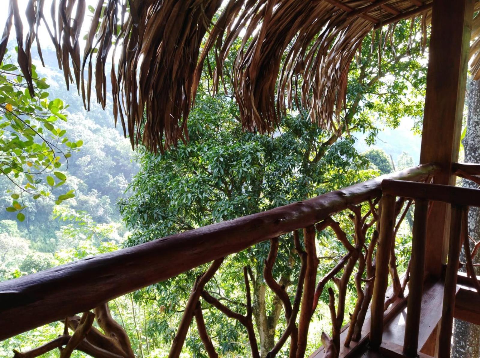 Hotel Ella Treehouse Exterior foto